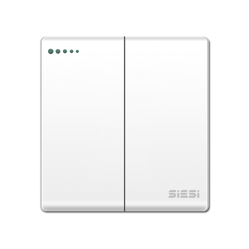 10A 二位单/双控开关