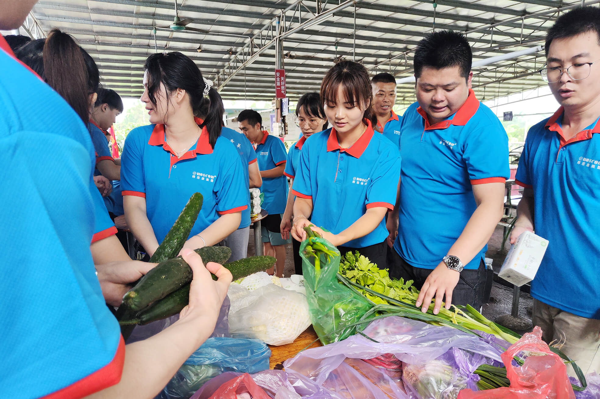 威九国际·V9(中国)最新官方网站