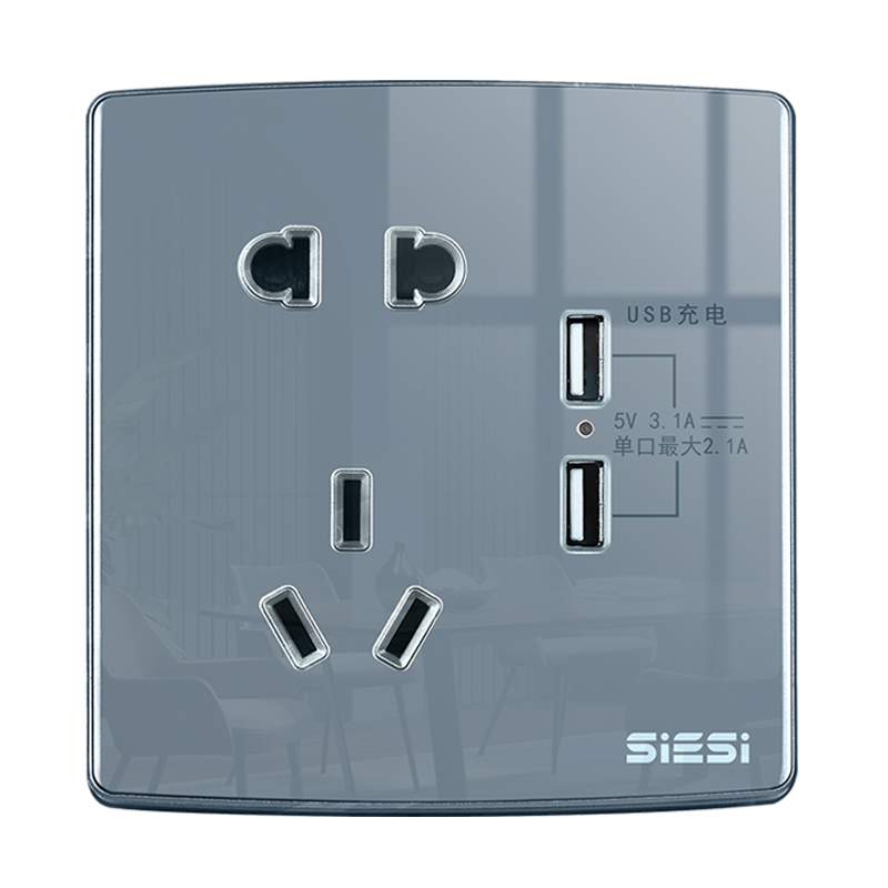 10A 二三极插座带双USB